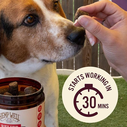 Hemp Well Relief Dog Soft Chews – Organic Hemp Soft Chews for Hip and Joint Health, Long Lasting Mobility Support (1 Pack)