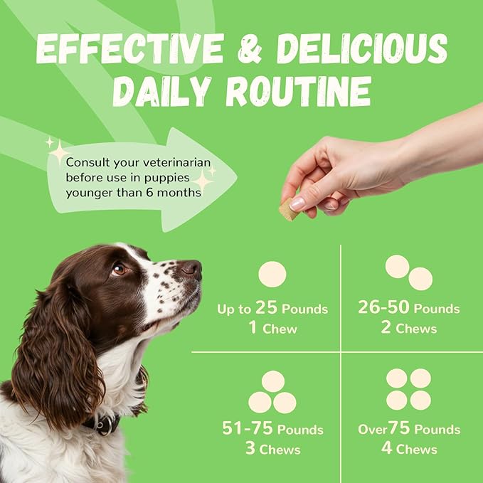 Furrolika Probiotics for Dogs – Supplements for Gut Health, Digestive Support, Immune Support & Diarrhea Relief – Beef Flavor Dog Probiotic Soft Chews