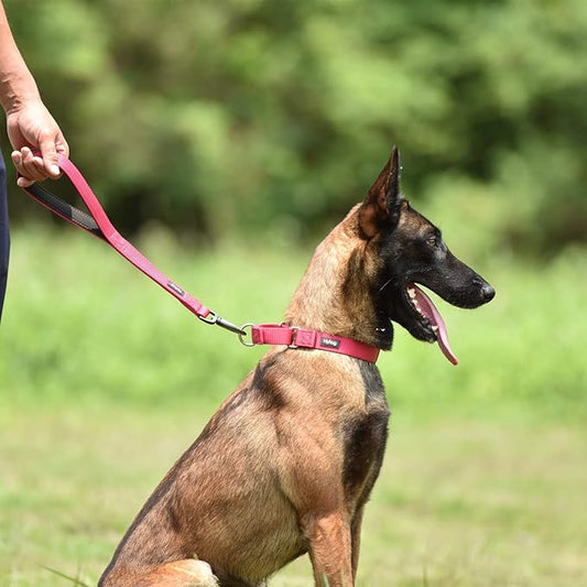 Hyhug Sturdy Nylon 18'' Short Leash with Comfortable Cushion for Giant Large Medium Boy and Girl Dogs -Daily Use Walking and Training. (18 Inches, Rose Red)