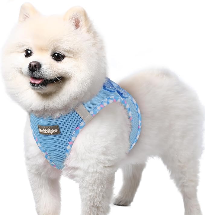 rabbitgoo Small Dog Harness, Step-in Soft Mesh Puppy Vest with Safety Buckle, Breathable Reflective Pet Harness for Small Sized Dogs, Blue & Plaid Trim S