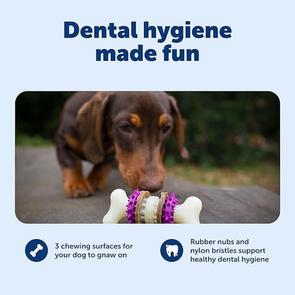 PetSafe Busy Buddy Bristle Bone - Chew Toy for Dogs - Boredom Relief & Dental Care - Durable Nylon Build with Rubber Nubs - Includes Treat Ring Refills - Dishwasher Safe Design