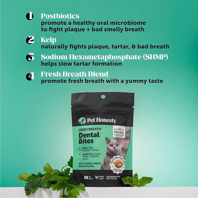 Fresh Breath Dental Bites for Cats – Crunchy & Creamy Cat Dental Treats for Fresh Breath, Tartar & Plaque Control – Dual-Texture Cat Oral Care Bites for Bright Teeth & Healthy Gums – 30 Day Supply