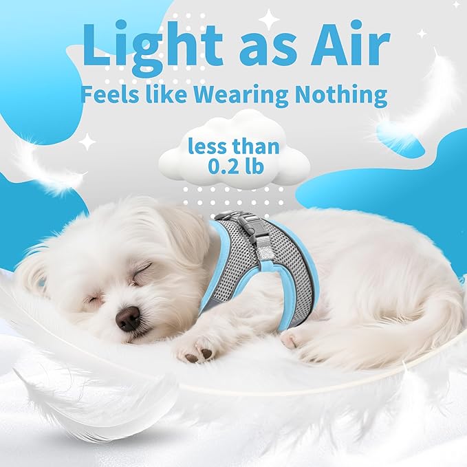AIITLE Easy Walk Dog Harness and Leash Set - Pet Supply No Pull, Step in Adjustable Dog Harness with Padded Vest, Dog Harness No Choke Over, Easy to Put on Medium Dogs Pure Blue L