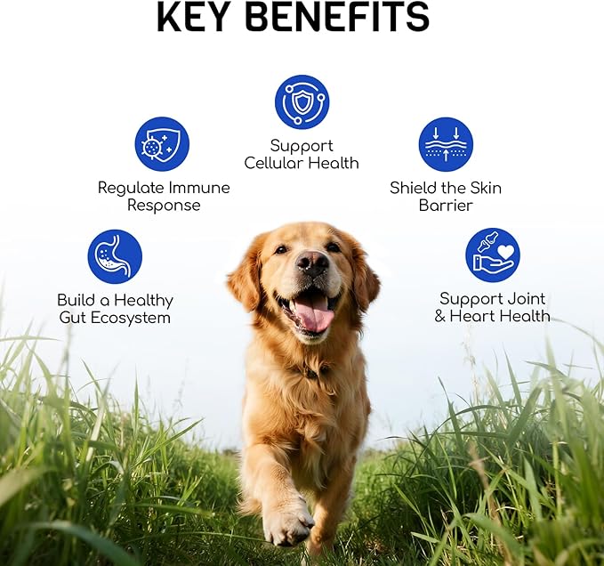 Dog Allergy Relief Chews - Dog Itching Skin Relief - 180 Chews - Anti-Itch, Hot Spots, Paw Licking - Immune Health - Omega 3 Fish Oil - Dry Itchy Skin and Coat Supplement