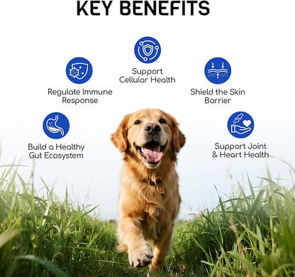 Dog Allergy Relief Chews - Dog Itching Skin Relief - 180 Chews - Anti-Itch, Hot Spots, Paw Licking - Immune Health - Omega 3 Fish Oil - Dry Itchy Skin and Coat Supplement