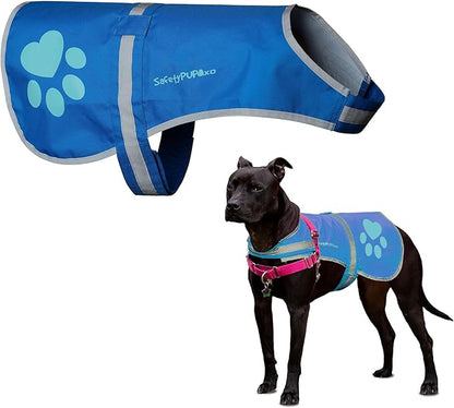 SafetyPUP XD Dog Reflective Vest – Hi-Vis Fluorescent Visibility That Helps to Safeguard Your Pet On/Off Leash in Urban & Rural Areas (Blue, Small)