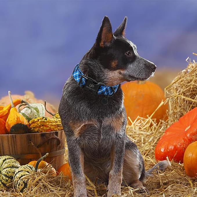 UP URARA PUP Autumn Cotton Dog Collar, Blue Plaid with Plastic Buckle, Adorable Pet Collar for Puppy, Cat or Dog