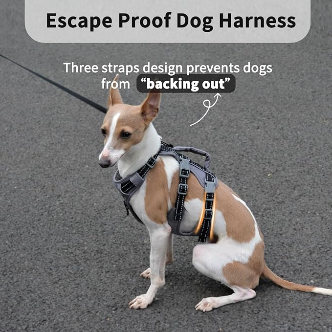 Huntboo Reflective Dog Harness with Handle, Escape Proof, No Slip, Breathable, Lightweight, Adjustable Lift Harness for Small, Medium, and Large Dogs Walking, Training, and Running Gear(Black,XL)
