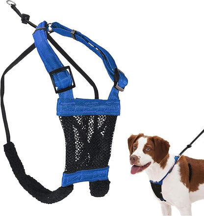 Sporn Mesh Non Pull Dog Harness Medium Blue, Perfect for Training-Stops Dogs from Pulling and Choking on Walks for Small, Medium and Large Dogs, Puppy, No Pull, No Choke Harness