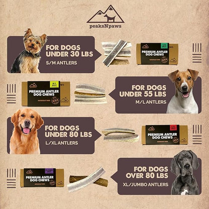 peaksNpaws Premium All-Natural Grade A Split Elk Antlers for Dogs – Naturally Shed in The Rocky Mountains – No Additives, No Preservatives - Healthy and Delicious Treat - Made in USA - XL/Jumbo Split