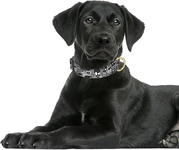 Rnivvi Dog Collar for Large Dogs, Cute Heavy Duty Adjustable Puppy Collar with Quick Release Buckle for Girl & Female, Pet Accessories for Walking Running, L Length 1" Width, Black Skull