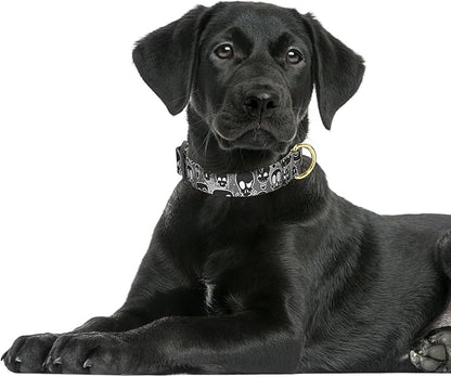 Rnivvi Dog Collar for Large Dogs, Cute Heavy Duty Adjustable Puppy Collar with Quick Release Buckle for Girl & Female, Pet Accessories for Walking Running, L Length 1" Width, Black Skull