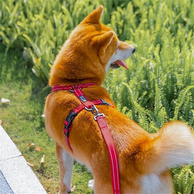 EXCELLENT ELITE SPANKER No Pull Dog Harness Reflective Nylon Vest L-Shaped Adjustable Easy Pet Harness for Small Medium Large Breeds Dogs Walking Training Black Red(Purple-L)