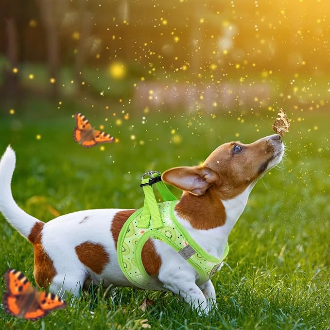 KOOLTAIL Dog Harness and Leash Set for Small Medium Dogs, Step in No Pull Soft Mesh Dog Harness Comfort Padded Pet Vest, Adjustable Reflective Easy Walking Puppy Cats Harness Training, Kiwifruit S