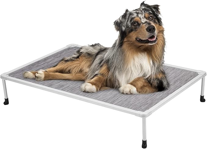 Veehoo Chewproof Elevated Dog Bed- Cooling Raised Pet Cot, Breathable Mesh, Washable & Non-Slip for Medium Dogs, Indoor/Outdoor, Black Silver Mat and Silver Metal Frame, 32x25inches (Model CWC2203B03)
