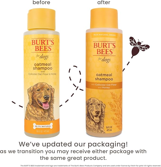 Burt's Bees for Pets Oatmeal Shampoo for Dogs with Colloidal Oat Flour and Honey - Skin Soothing Dog Oatmeal Shampoo, Moisturizing Dog Wash for Itchy Dry Skin, Essential Grooming Supplies, 16 Fl Oz