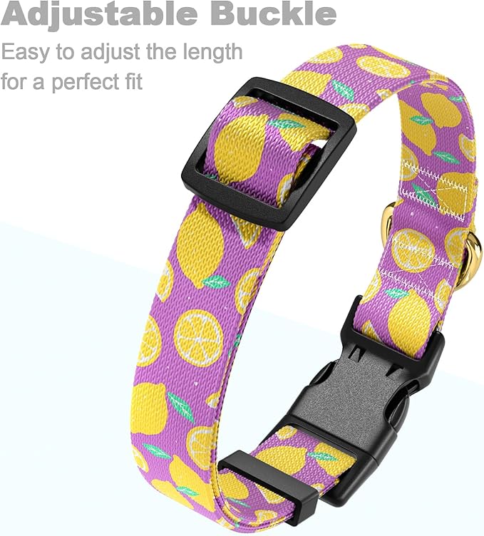 Rnivvi Dog Collar for Large Dogs, Cute Heavy Duty Adjustable Puppy Collar with Quick Release Buckle for Girl & Female, Pet Accessories for Walking Running, L Length 1" Width, Lemon