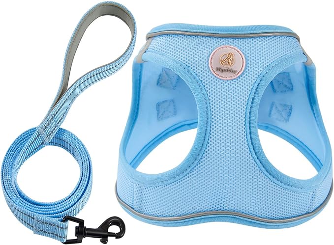 Hipubby Dog Harness and Leash Set, No Pull Soft Mesh Puppy Harness for Small Medium Dogs, Cats - Step in Reflective Breathable Lightweight Vest Harness for Walking, Training - Blue, XXS