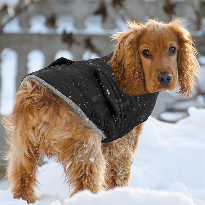 Queenmore Dog Winter Coat Warm Puffer Jacket Waterproof Plush Lining Thermal Cold Weather Vest for Small Medium Large Dogs, Windproof Easy On Pet Jacket Black L