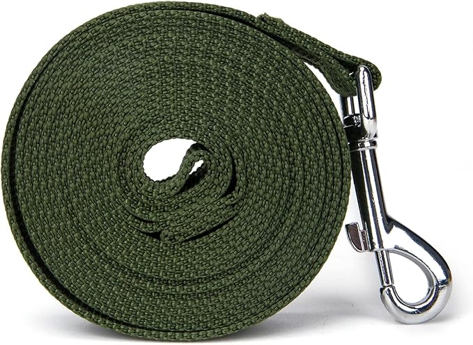 Siumouhoi Strong Durable Nylon Dog Training Leash, 1 Inch Wide Traction Rope, 6 ft 10ft 15ft Long, for Small and Medium Dog (Military Green, 15 Feet)