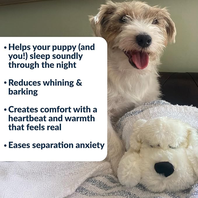 Snuggle Puppy Junior Heartbeat Puppy Toy - Heartbeat Puppy for Dogs - Pet Anxiety Relief and Calming Aid - Comfort Dog Toy - Behavioral Training and Sleep Aid Cuddle Buddy - Golden
