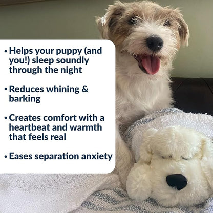 Snuggle Puppy Junior Heartbeat Puppy Toy - Heartbeat Puppy for Dogs - Pet Anxiety Relief and Calming Aid - Comfort Dog Toy - Behavioral Training and Sleep Aid Cuddle Buddy - Golden