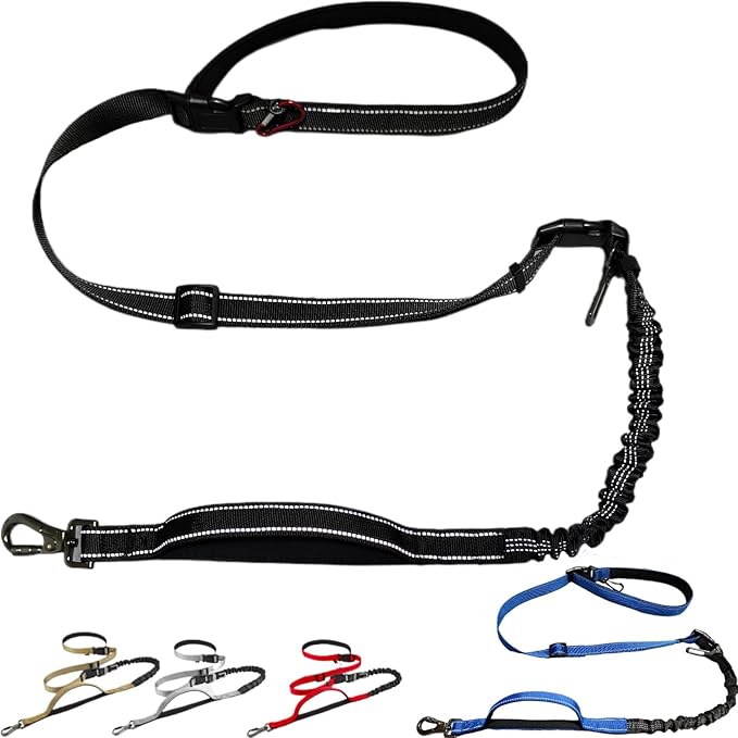 Dog Leash, Hands Free - 6-in-1 Reflective Bungee Leash Design for Large & Medium Dogs, Adjustable Nylon Belt for Running, Hiking & Daily Walks (Black)