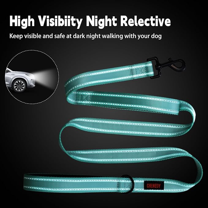 Heavy Duty Leash for Large Breed Dogs - Double Handle Reflective Training Lead - Perfect for Medium to Large Dogs (6FT Lake Blue)