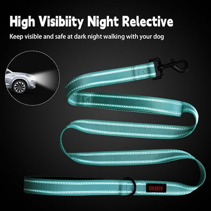 Heavy Duty Leash for Large Breed Dogs - Double Handle Reflective Training Lead - Perfect for Medium to Large Dogs (6FT Lake Blue)