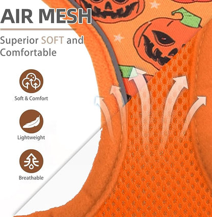 PUPTECK Halloween Small Dog Harness and Leash Set, No Pull Adjustable Puppy Cat Harness, Reflective Soft Mesh Pet Vest Small Sized, Pumpkin, S