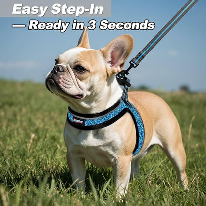 Dog Harness and Leash Set,Step in Small Sized Dog Harness,Soft Mesh,No-Chock,Reflective Adjustable,Secure with Hook & Loop Fastener,Puppy Vest for Small,Medium Dogs(Blue/Black,XS)