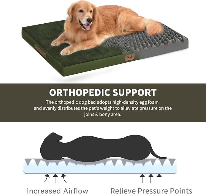 Tail Stories Plush Orthopedic Dog Bed for Medium Dogs & Puppies, Waterproof Dog Beds 29x18 Inch with Removable Washable Cover, Egg Crate Foam Flat Pet Mat, Olive Green