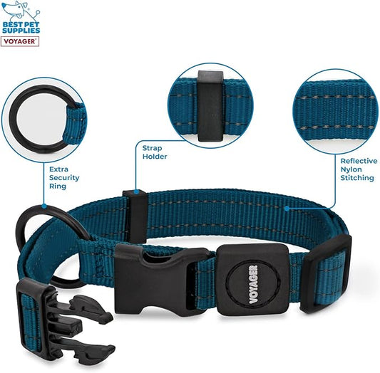 Best Pet Supplies Voyager Reflective Dog Leash or Collar with Neoprene Handle, for Small, Medium, and Large Breed Puppies, Cute and Heavy Duty for Walking, Running and Training - Blue, L