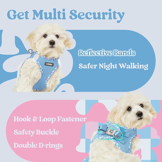 rabbitgoo Small Dog Harness, Step-in Soft Mesh Puppy Vest with Safety Buckle, Breathable Reflective Pet Harness for Small Sized Dogs, Blue & Plaid Trim M