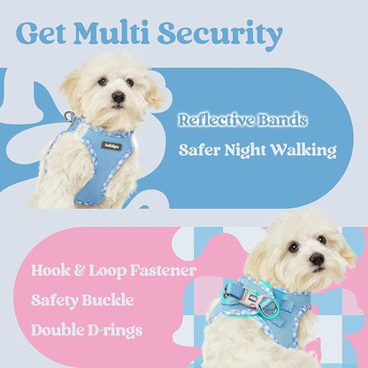 rabbitgoo Small Dog Harness, Step-in Soft Mesh Puppy Vest with Safety Buckle, Breathable Reflective Pet Harness for Small Sized Dogs, Blue & Plaid Trim M