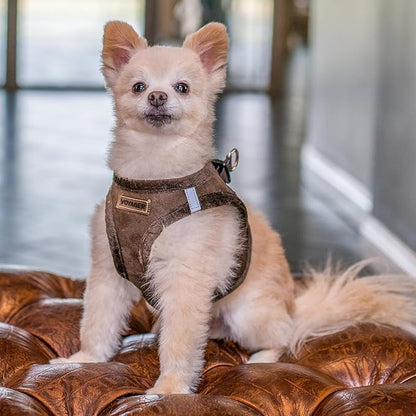 Best Pet Supplies - All Weather Plush, Reflective, No Pull Harness for Small, Medium Dogs, Cats - Secure with Hook & Loop Fastener, Buckle, Double D-Rings - Chocolate Suede, XS