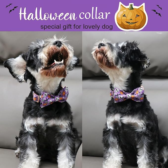 ARING PET Halloween Dog Collar Cute Pumpkin Dog Collar Bowtie, Cotton Purple Skull Bat Dog Collars Daisy Puppy Collars with Metal Buckle