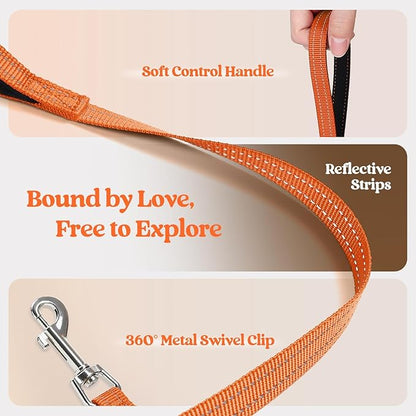 rabbitgoo Dog Harness Small Sized and Leash Set, Step in Soft Light Puppy Vest, Breathable Mesh Pet Harness, Reflective for Safe Easy Walking, Orange XXXS