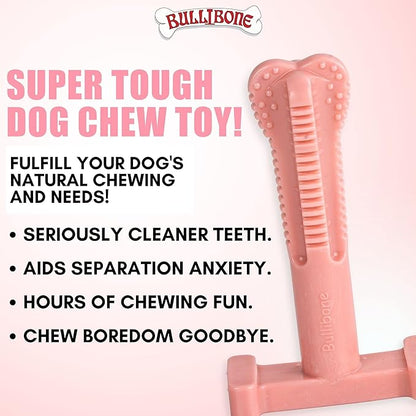 Bullibone Nylon Dog Chew Toy Spin-a-Bone - Interactive Dog Toy, Triggers Natural Instincts, and Improves Oral Health