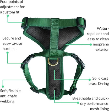 DJANGO Adventure Dog Harness - Stylish and Durable Small Dog Harness for Outdoor Adventures and Everyday Wear - Forest Green Neoprene Adjustable Harness for Dogs with Reflective Piping & Brass D-Ring
