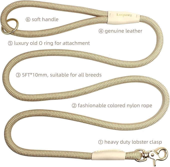 Lobster Snap Pet Leash 5FT, Special Strong Nylon Rope Dog Leash, Solid Color Rope Dog Lead for All Breeds (Gold, 5ft *10mm)