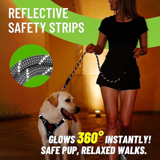 Rope Dog Leash 4 FT, 1/2 Inch Heavy Duty Round Dog Leash with Soft Padded Non-Slip Handle, Reflective Nylon Rope & Strong Metal Clip for Medium Large Giant Dogs,Black