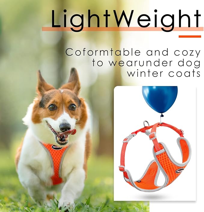 ThinkPet Reflective Breathable Soft Air Mesh No Pull Puppy Choke Free Over Head Vest Harness for Puppy Small Medium Dogs and Cats Orange Large