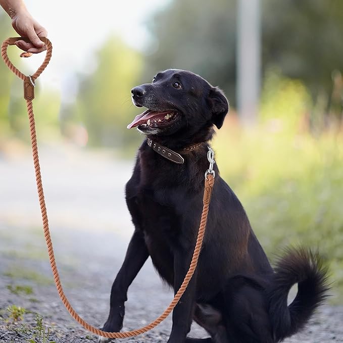 Mile High Life Dog Leash, Braided Cotton Rope Leashes with Leather Handle - Heavy Duty Metal Clasp, 4FT, 1/2" Thick - Wedding, Walking & Training Leash for Small Medium Large Dogs (Mocha Mousse)