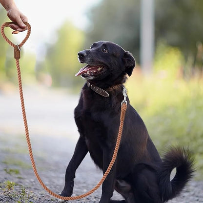 Mile High Life Dog Leash, Braided Cotton Rope Leashes with Leather Handle - Heavy Duty Metal Clasp, 4FT, 1/2" Thick - Wedding, Walking & Training Leash for Small Medium Large Dogs (Mocha Mousse)