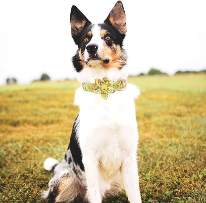 Dog Collar and Leash Set Girls Adjustable Puppy Collars with Floral Bow Tie for Small Medium Large Female Dogs, Yellow Rose, L
