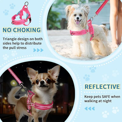Lukovee No Pull Dog Harness and Leash Set, Soft Padded Small Dog Harness, Neck & Chest Adjustable Reflective Vest Puppy Harness with 4ft Lightweight Anti-Twist Dog Leash for Small Dogs (Pink, Large)