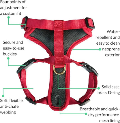 DJANGO Adventure Dog Harness - Stylish and Durable Small Dog Harness for Outdoor Adventures and Everyday Wear - Red Neoprene Adjustable Harness for Dogs with Reflective Piping, Solid Brass D-Ring