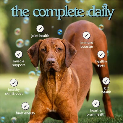 Premium 12-in-1 Multivitamin Powder for Dogs Food Topper – Daily Scoop Multivitamin Dog Supplement for Joints, Digestion, Skin, Heart & Immunity – Probiotics, Collagen, Glucosamine, Mushrooms–7.3oz