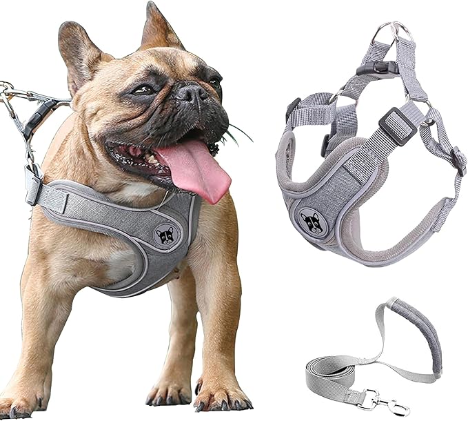 Medium Dog Harness and Leash Set,No Pull Adjustable Step in Soft Mesh Vest Harness,Easy Walk Reflective Pet Harness with Padded Handle for Walking Training Small Medium Large Dogs and Cats (Grey, M)
